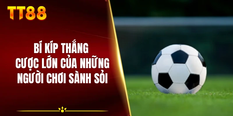 Bí kíp thắng cược lớn của những người chơi sành sỏi